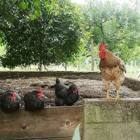 Apartma Obrh * Smarjeske Toplice