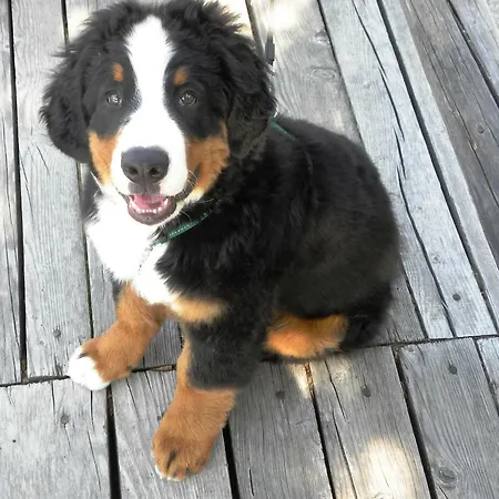 Apartman Apartma Obrh Smarjeske Toplice