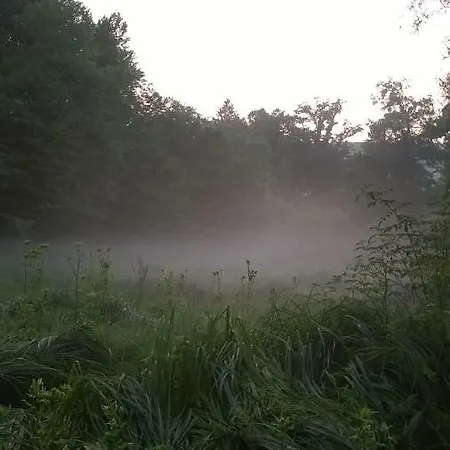 Apartman Apartma Obrh *