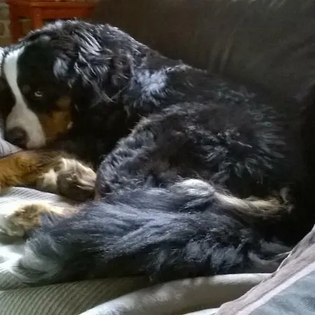 Apartma Obrh Šmarješke Toplice