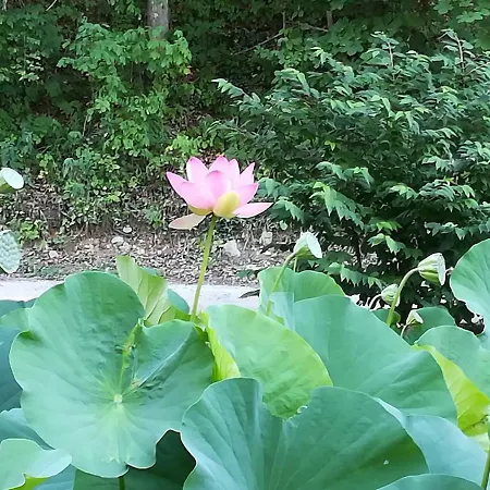 Apartma Obrh Šmarješke Toplice