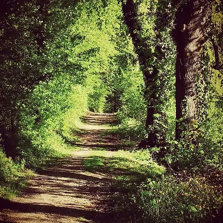 Apartma Obrh Apartmán