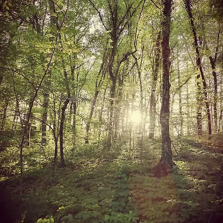 Apartma Obrh Apartmán