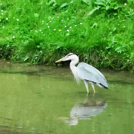 Apartmán Apartma Obrh *