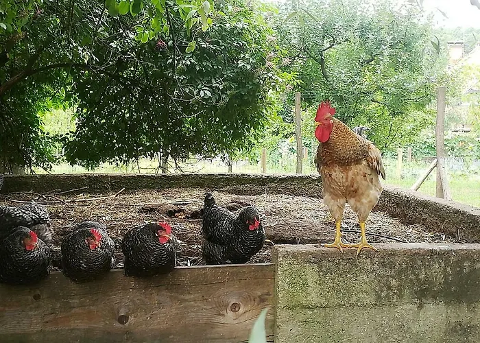 Apartma Obrh * 스마예스케토플리체