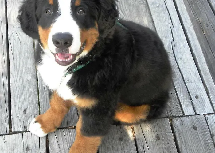 아파트 Apartma Obrh 스마예스케토플리체