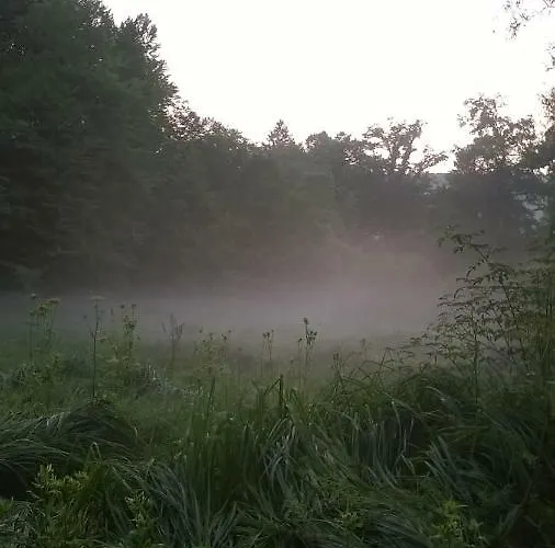 아파트 Apartma Obrh *