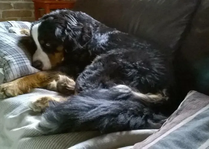 Apartma Obrh 스마예스케토플리체