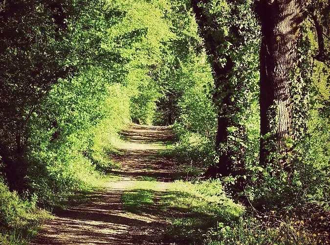 Apartma Obrh 아파트