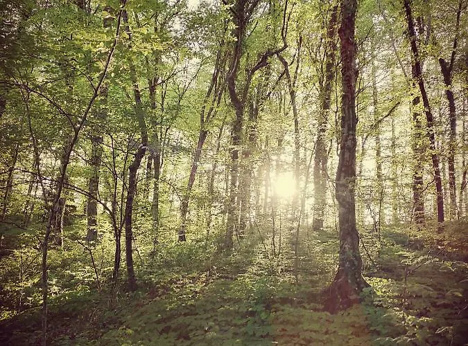 Apartma Obrh 아파트