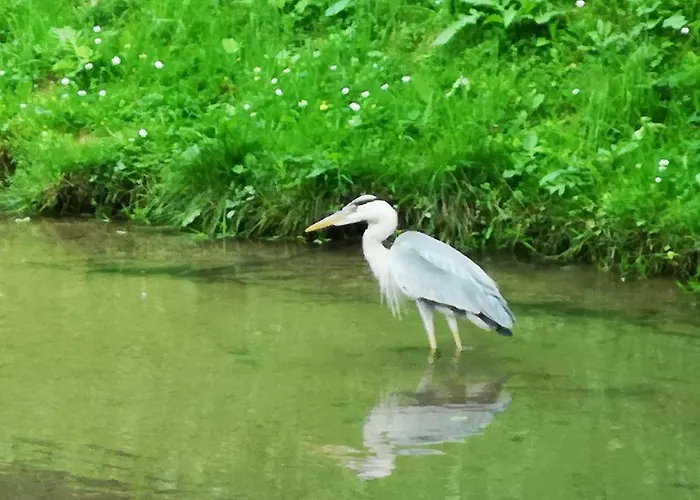 아파트 Apartma Obrh *