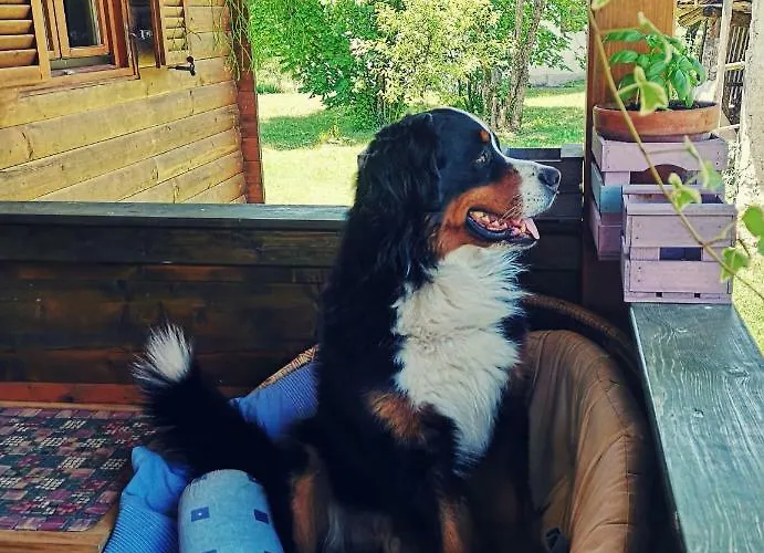 아파트 Apartma Obrh